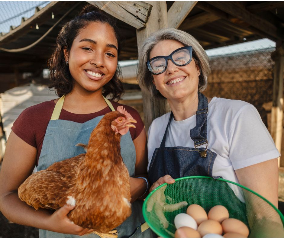 Farmer collecting farm fresh eggs